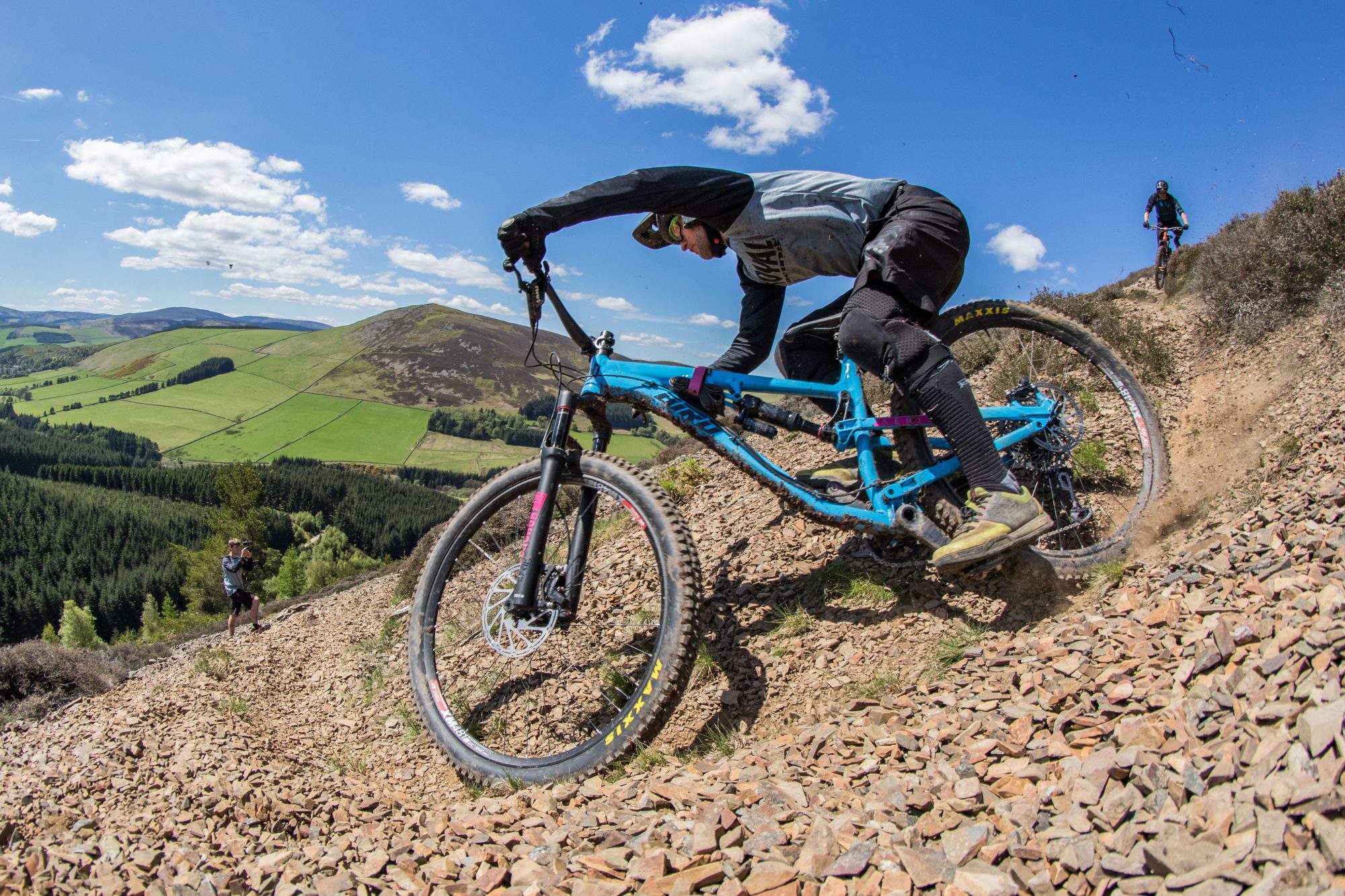 bird mtb
