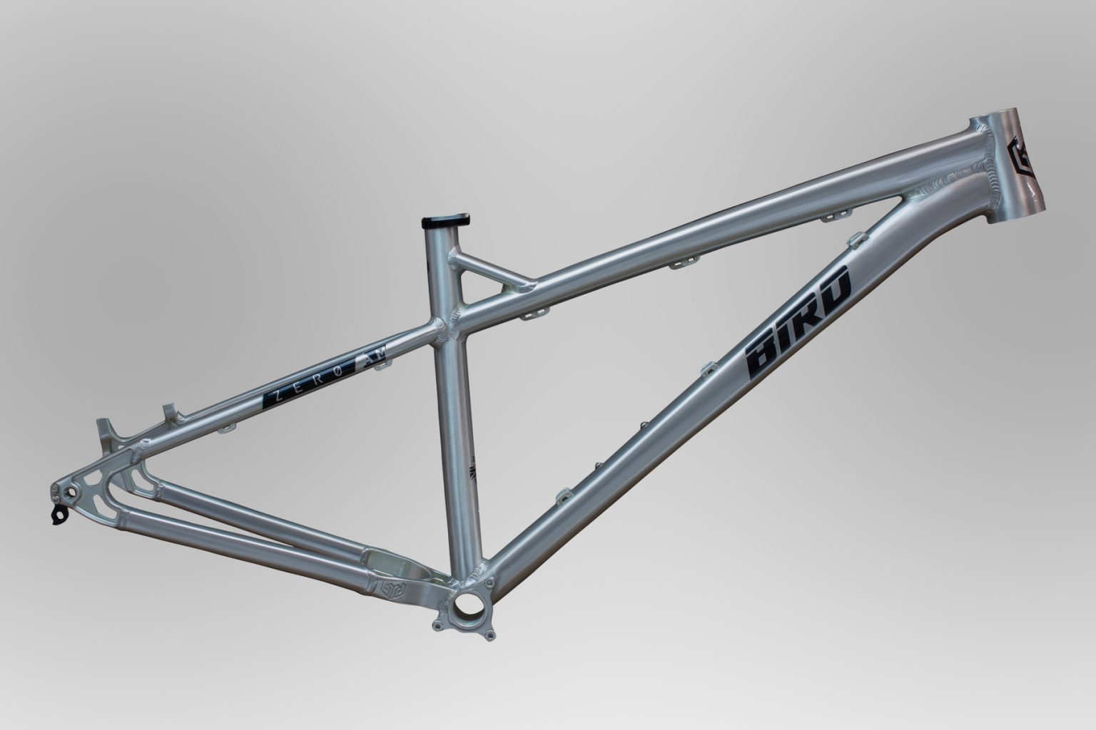 bird zero 29 frame