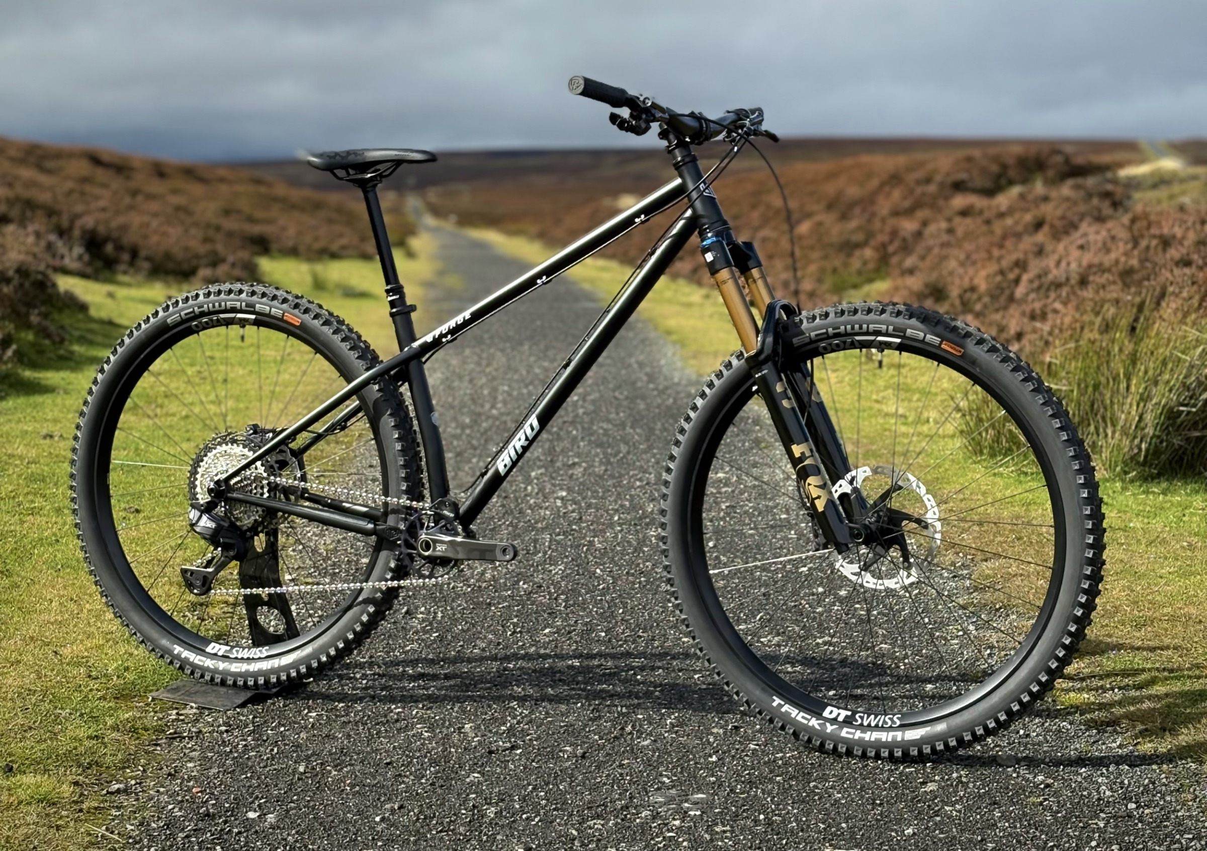 Forge 29" XT Di2 / Fox 36SL Build